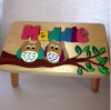 Classic Owl Name Puzzle Stool